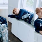 [스키즈] 이렇게 <b>도발</b>적인 쿼카를 본 적 있나