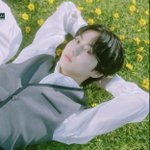 [엔하이픈] <b>몽환</b>아련청순 컨셉인거 같아서 기대됨