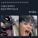 [NCT칠프] 강아지탈을쓴 애<b>옹</b>