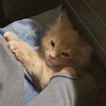 [세븐틴] <b>리오</b> 안녕 잘 가