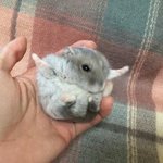 [19] 판에 이쁜애들 많은거 ㄹㅇ인듯