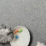 [댓글부탁해] 고1들아 너희 <b>백신</b> 언제 맞아?