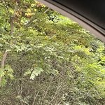 서술형 쓸 때 <b>말끝</b>마다 하트쓰면 쌤한테 혼나??