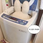 [드루와] 동생 열<b>난대</b>..