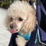 [더보이즈] <b>보리</b> 귀여워