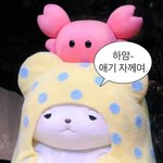 짝남 <b>infp</b>인데