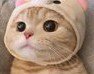 에헴