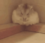 공부랑 상관없이 전문대 뷰티쪽 가고 싶어