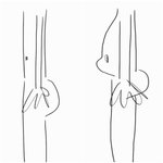 [이것좀봐줘] 아니 이런 <b>유형</b>은 살을 어케 뺌?