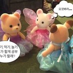 솔직히 나만 방탄 악개 안티 이해 안되나