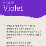 나 꼬막눈임?