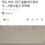 [EXO] 아…기사제목 조카웃김 ㅠ