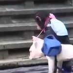 당신이 회사 회장이라면 누구를 뽑겠습니까?