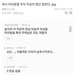 지금 <b>여시</b> 사태 범인 찾음.jpg