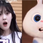 아이돌 그룹마다 한명씩 있다는 <b>토끼상</b> 연습생