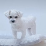 아 스카<b>총무</b> 개짜증나 ㅈㄴ 어리바리