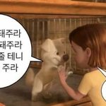 얘들아 음악 가창 <b>수행</b>평가