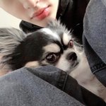 [스키즈] 요즘 까미가..너무 귀여어