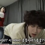 [NCT칠프] 선배님들은 수위가