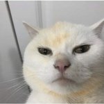 시험볼때 <b>점수</b>부터 확보할 생각을 해