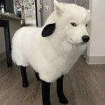 [댓글부탁해] 나 버스 한번도 <b>안</b><b>타</b>봤는데