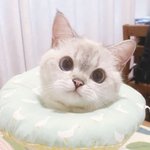 [방탄소년단] 슈가 애인