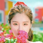 장미 <b>정원</b>에서 티파티할듯한 女돌