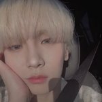 키 콧대는 피부에 가려져 언급이 잘 안되는데