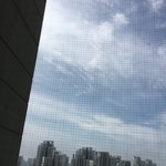 [화욜입니당] <b>비온다</b>..