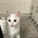 야 <b>니플패치</b> 쓰는거 ㄱㅊ?