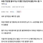 이상한 트페미들 트페미 아닐수도 있음