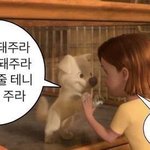 얼굴에서 코가 ㅈㄴ <b>중요</b>한 듯