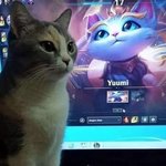 [댓글부탁해] 내 <b>엠</b><b>비티</b>아이 뭐같음?
