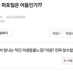 [세븐틴] 자아표출 ㅈㅅ 나 <b>반쯤</b>맞음