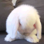 [드루와] 아빠한테 레전드로 <b>악담들</b>음ㅋㅋ