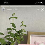 헐 보현이 혜임 강아지한테 선물줌(환승연애)