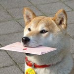 <b>아침산책</b>갈려고 일찍일어남