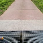 [방탈죄송] 방탈죄송 억울해 다친사람은 <b>뭔</b> <b>죄</b>