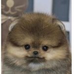 고1들아 너네 <b>백신</b> 언제.맞냐?