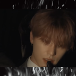 [세븐틴] 이디노