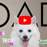 요즘 전세계적으로 <b>열풍</b>인 오징어게임 - 강아지버전