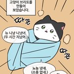네웹 냐한남자봣던 사람있냐