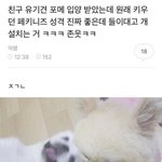 <b>아이돌</b><b>팬</b>이면 일단 거르는 사람 있음..?