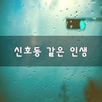 [회사생활] <b>신호</b>등 같은 인생~