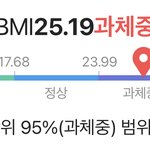 <b>BMI</b> 검사할 때 25 넘으면 비만이잖아