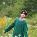 [엔하이픈] <b>이</b> 존<b>잘</b>강아지 누구야