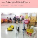 인스타에서 보낸 동영상 <b>녹화</b>하면 알람감?