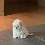 [댓글부탁해] 이거 어장인가