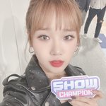 최유정은 <b>쌍</b>테야??