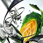 <b>미대</b>는 수능못봐도 실기를 기가막히게